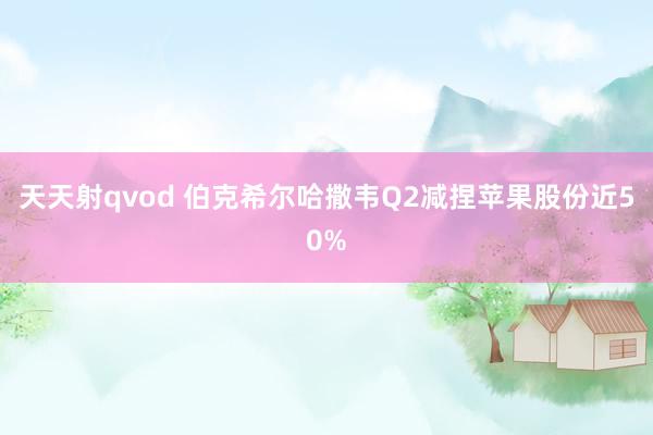 天天射qvod 伯克希尔哈撒韦Q2减捏苹果股份近50%