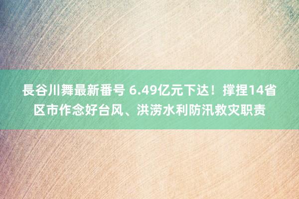 長谷川舞最新番号 6.49亿元下达！撑捏14省区市作念好台风、洪涝水利防汛救灾职责