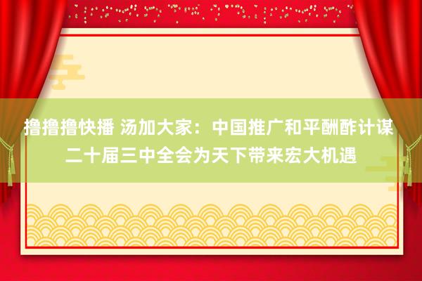 撸撸撸快播 汤加大家：中国推广和平酬酢计谋 二十届三中全会为天下带来宏大机遇