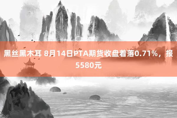 黑丝黑木耳 8月14日PTA期货收盘着落0.71%，报5580元