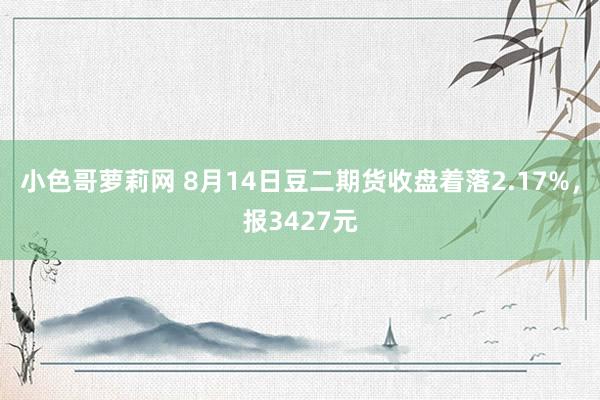 小色哥萝莉网 8月14日豆二期货收盘着落2.17%，报3427元