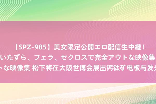 【SPZ-985】美女限定公開エロ配信生中継！素人娘、カップルたちがいたずら、フェラ、セクロスで完全アウトな映像集 松下将在大阪世博会展出钙钛矿电板与发光微生物等时期