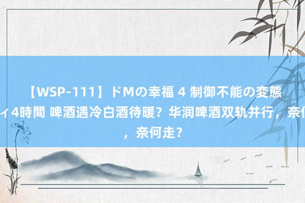 【WSP-111】ドMの幸福 4 制御不能の変態ボディ4時間 啤酒遇冷白酒待暖？华润啤酒双轨并行，奈何走？