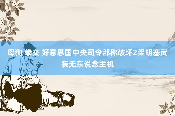 母狗 拳交 好意思国中央司令部称破坏2架胡塞武装无东说念主机