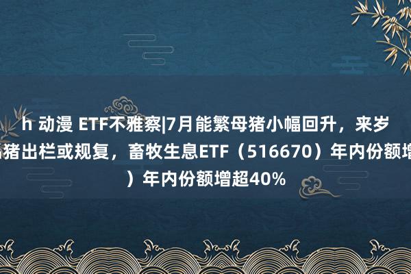 h 动漫 ETF不雅察|7月能繁母猪小幅回升，来岁3月商品猪出栏或规复，畜牧生息ETF（516670）年内份额增超40%