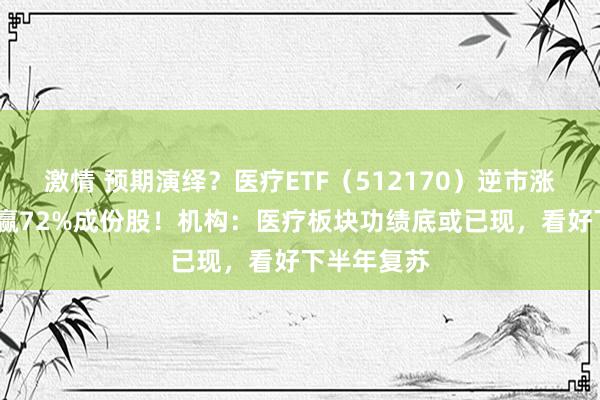 激情 预期演绎？医疗ETF（512170）逆市涨超1%，跑赢72%成份股！机构：医疗板块功绩底或已现，看好下半年复苏