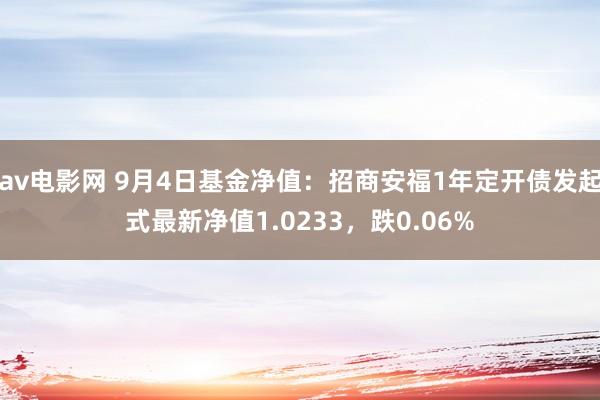 av电影网 9月4日基金净值：招商安福1年定开债发起式最新净值1.0233，跌0.06%