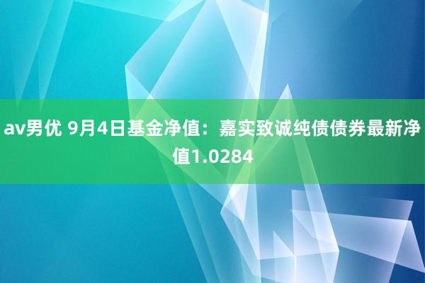 av男优 9月4日基金净值：嘉实致诚纯债债券最新净值1.0284