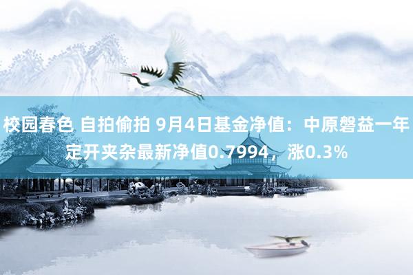 校园春色 自拍偷拍 9月4日基金净值：中原磐益一年定开夹杂最新净值0.7994，涨0.3%