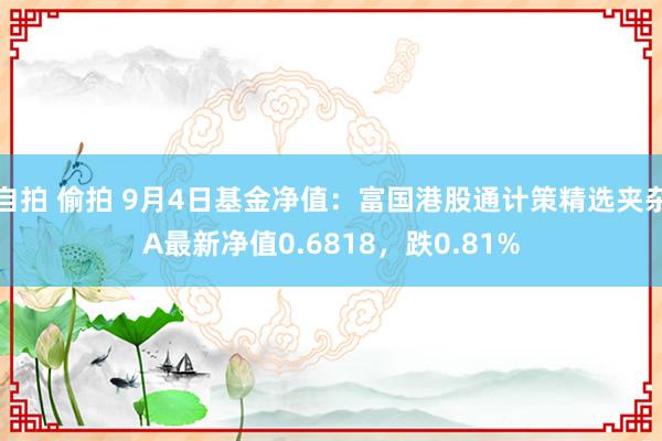 自拍 偷拍 9月4日基金净值：富国港股通计策精选夹杂A最新净值0.6818，跌0.81%