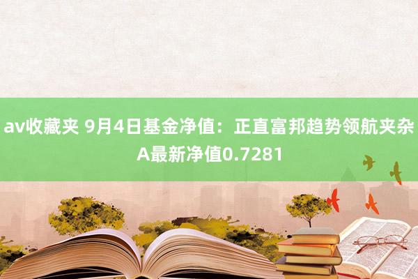 av收藏夹 9月4日基金净值：正直富邦趋势领航夹杂A最新净值0.7281