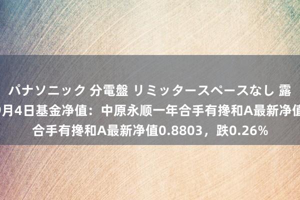 パナソニック 分電盤 リミッタースペースなし 露出・半埋込両用形 9月4日基金净值：中原永顺一年合手有搀和A最新净值0.8803，跌0.26%